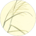 V De T. profile picture